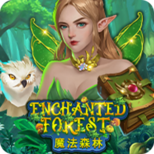 ENCHANTED FOREST